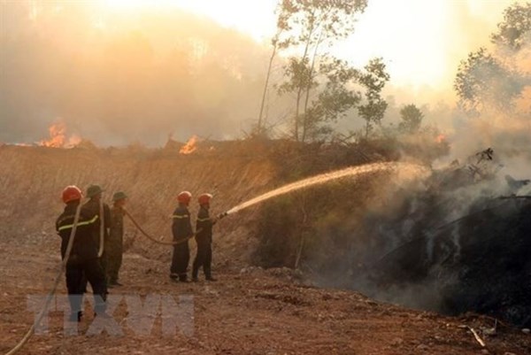 Thừa Thiên – Huế: Khởi tố vụ án khai thác tận thu rừng thông bị cháy, gây thiệt hại hàng tỷ đồng