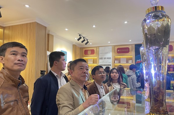 Sản phẩm chiết xuất từ sâm Ngọc Linh đã có mặt tại Hà Nội