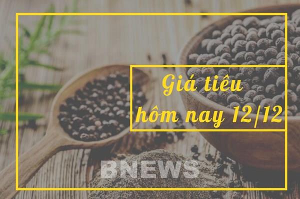 Giá tiêu hôm nay 12/12: Dao động trong khoảng 59.000 - 62.000 đồng/kg