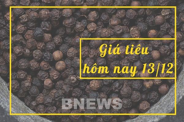 Giá tiêu hôm nay 13/12: Giảm nhẹ 1.000 đồng/kg