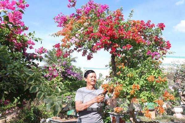 Rộn ràng vương quốc hoa kiểng phục vụ Tết