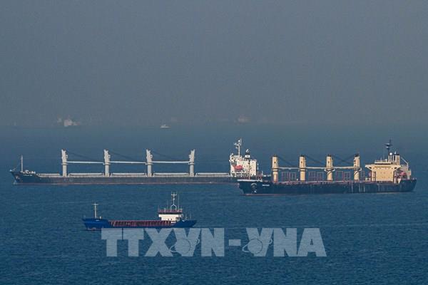 Thổ Nhĩ Kỳ nỗ lực tìm cách gia hạn Sáng kiến ngũ cốc Biển Đen