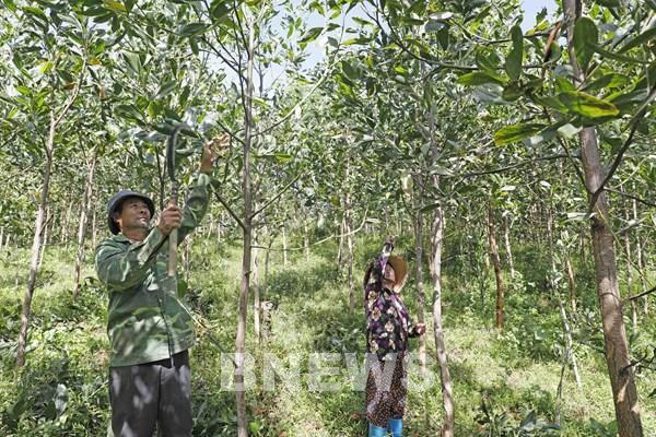 Không để ai bị bỏ lại phía sau vì thiếu vốn