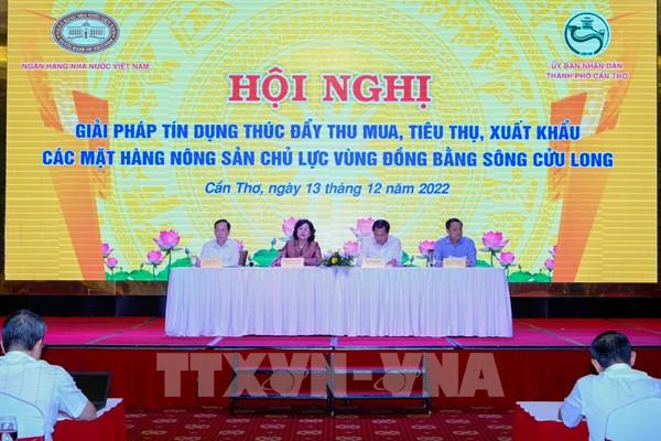Giải pháp tín dụng xuất khẩu nông sản vùng ĐBSCL