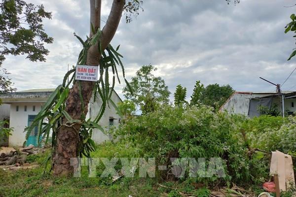 Chuyên gia: Thị trường bất động sản có yếu tố để kỳ vọng vào sự “đảo chiều
