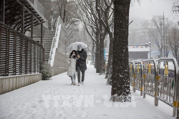 Hàn Quốc trải qua đợt lạnh nhất của mùa Đông