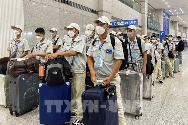 Hàn Quốc đơn giản hóa chính sách bồi thường tai nạn lao động cho người nhập cư