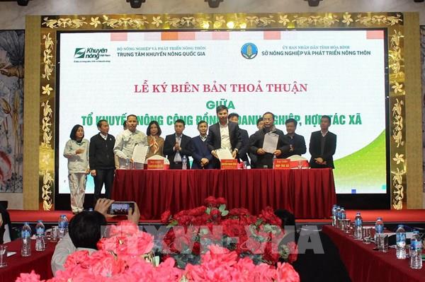 Triển khai tổ khuyến nông cộng đồng vùng nguyên liệu cây ăn quả miền núi phía Bắc