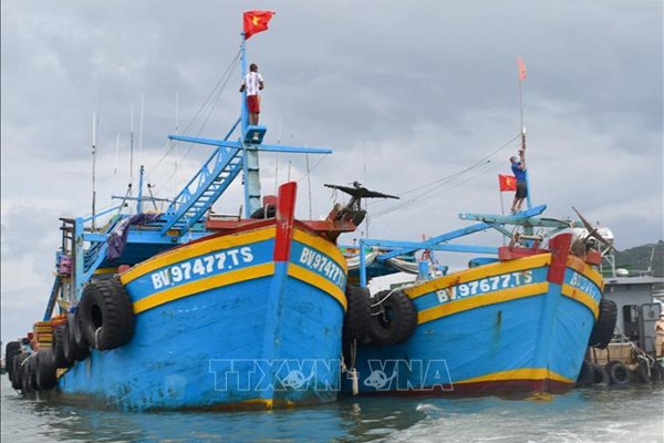 Xử lý nghiêm tàu cá chưa lắp thiết bị giám sát hành trình