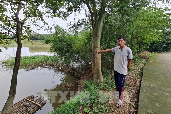 Quảng Ngãi: Sạt lở bờ sông cuốn trôi nhiều diện tích đất ở, đất sản xuất của người dân