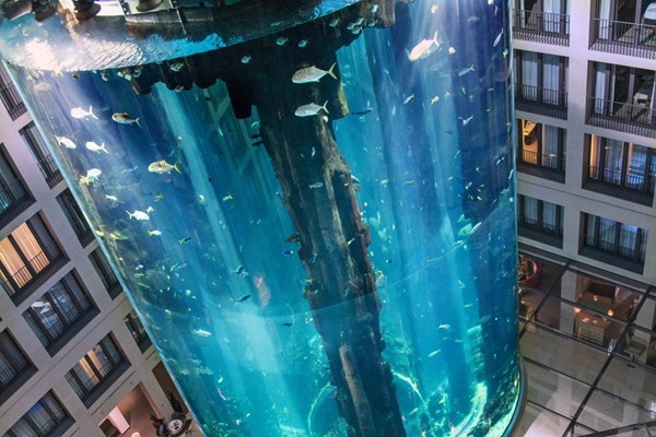 Vỡ thủy cung đứng cao nhất thế giới tại Đức