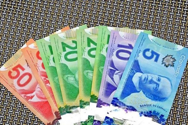 Canada đầu tư 88 triệu USD xây dựng mạng lưới chip quốc gia