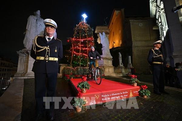 Thông "xanh" mang Giáng sinh an lành cho thành Rome giữa khủng hoảng năng lượng