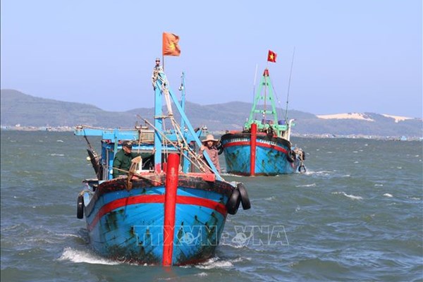 Quảng Ninh xử phạt nhiều vụ vi phạm trong khai thác hải sản tận diệt