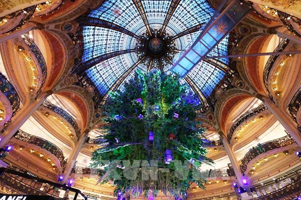 Trang hoàng lễ Giáng sinh tại nhiều nước trên thế giới