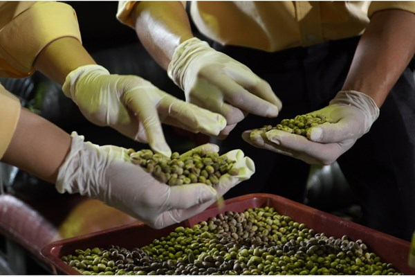 Cơ hội xuất khẩu kỹ thuật số 2023 cho doanh nghiệp