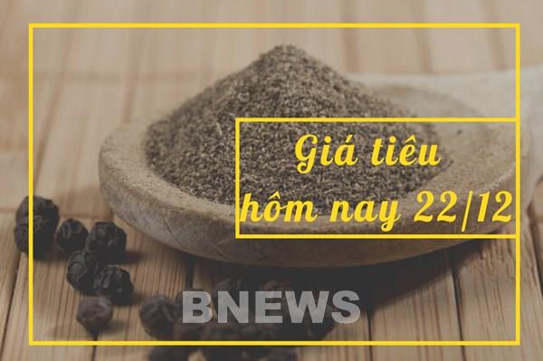 Giá tiêu hôm nay 22/12: Cao nhất 59.500 đồng/kg