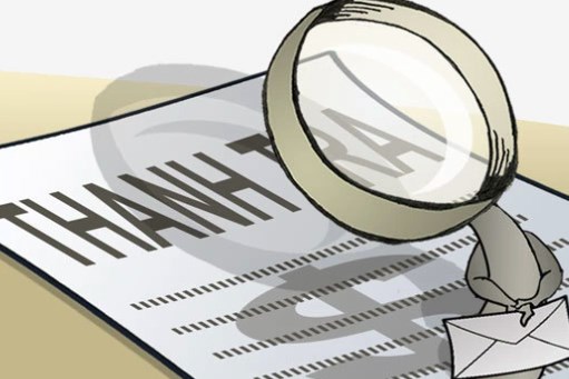 Thanh tra nhiều đơn vị lĩnh vực đa cấp, điện lực, hóa chất