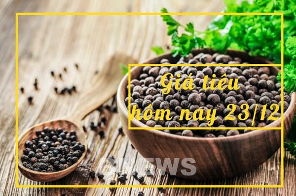 Giá tiêu hôm nay 23/12: Vẫn đi ngang