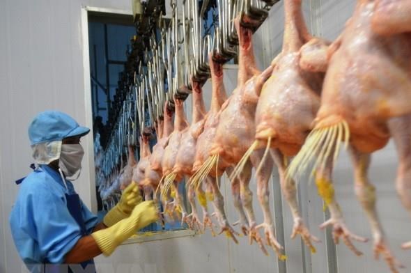 Các doanh nghiệp FDI gặt hái thành công tại Đồng Nai