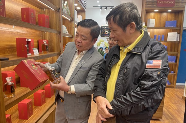 Khai trương showroom sâm Ngọc Linh tại Hà Nội