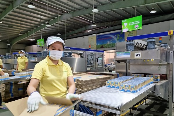 Vinasoy nói gì về thông tin sản phẩm sữa đậu nành bị thu hồi tại Nhật Bản?