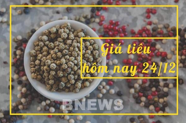 Giá tiêu hôm nay 24/12: Trầm lắng vào cuối tuần