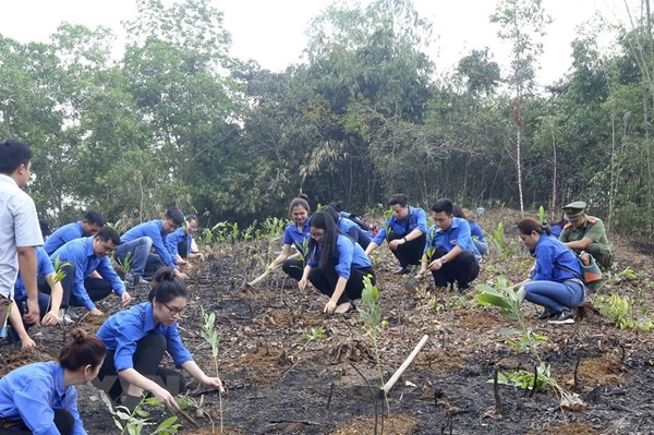 Tạo điều kiện để mọi người tham gia trồng cây, trồng rừng