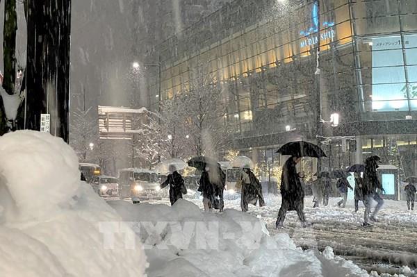 Tuyết rơi dày gây nhiều thiệt hại tại Nhật Bản