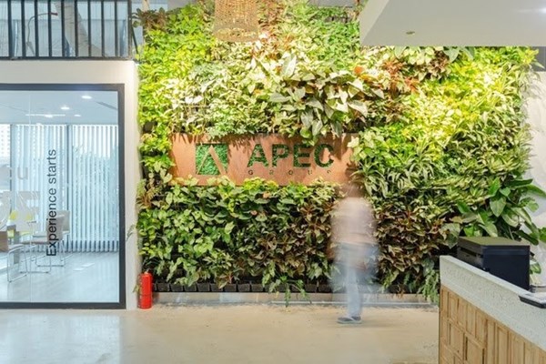 Mua “chui” cổ phiếu, Chứng khoán APEC bị phạt 250 triệu đồng