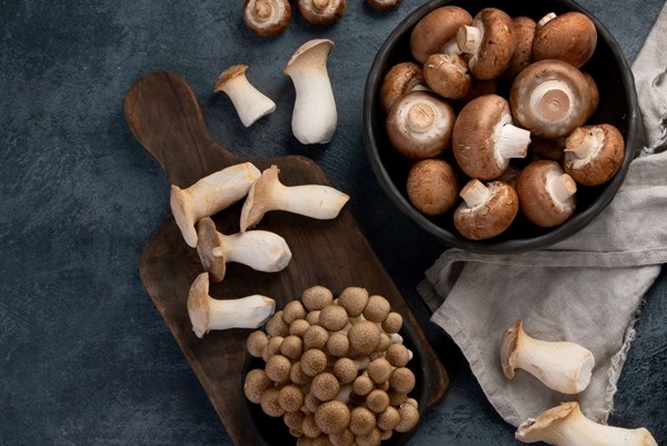 Bỉ sản xuất nấm “tái chế” từ chất thải bia và bánh mỳ