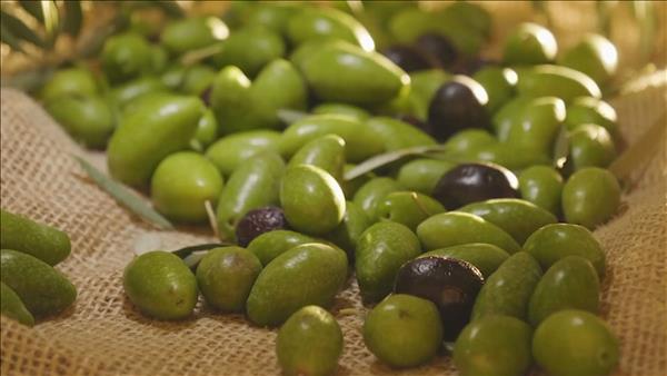 Giá dầu ô liu tăng cao kỷ lục khiến người tiêu dùng nản lòng