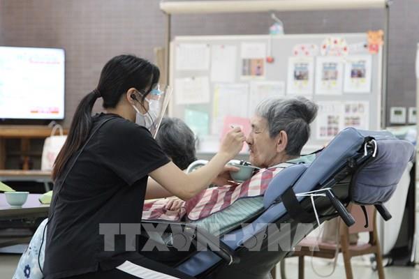 Nhật Bản “mở cửa” đón ứng viên hộ lý, điều dưỡng Việt Nam - Bài 1: Hộ lý, điều dưỡng lên ngôi