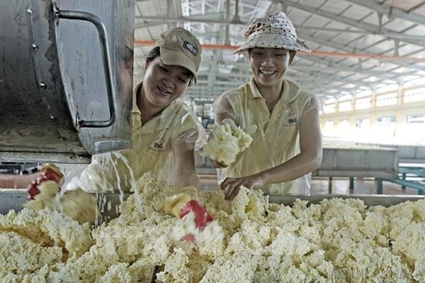 Kinh tế Bình Phước tăng trưởng 8,4%