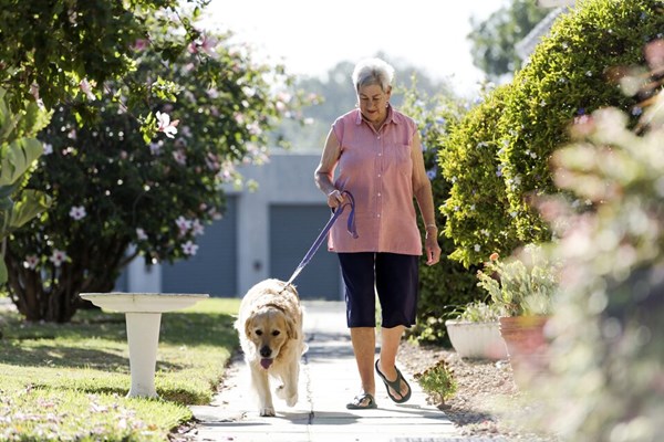 Những công việc giúp người nghỉ hưu ở Mỹ tăng thu nhập