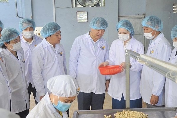 Ưu tiên sử dụng hạt điều trong nước để kích cầu hàng Việt 