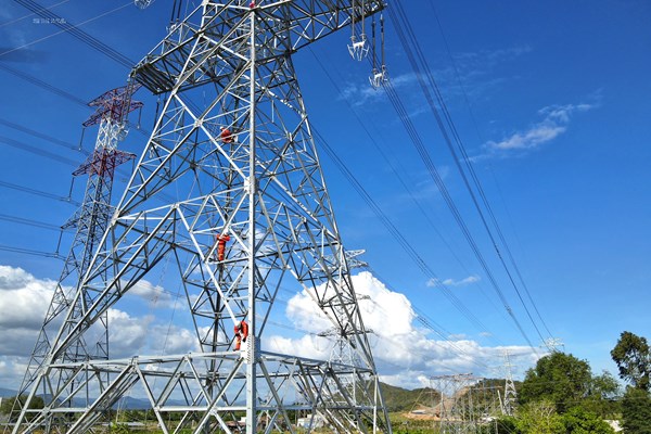 PTC3 đảm bảo lưới điện truyền tải an toàn