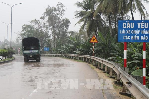 Quảng Ngãi rà soát các dự án trồng cây xanh, chỉnh trang đô thị