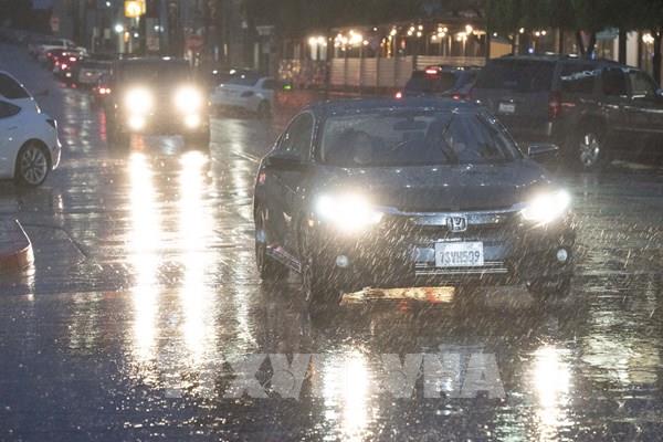 Mỹ: Bão lớn khiến hơn 330.000 ngôi nhà và cơ sở kinh doanh mất điện