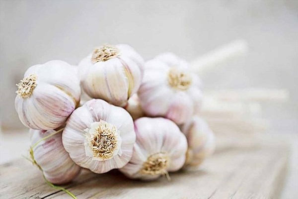 Phát hiện tỏi "voi" nặng hơn 5 kg