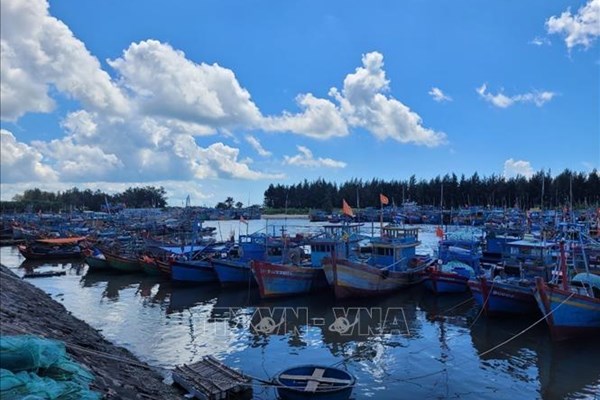 Khắc phục "thẻ vàng" IUU: Phạt 4 chủ tàu cá tự ý tháo thiết bị giám sát hành trình