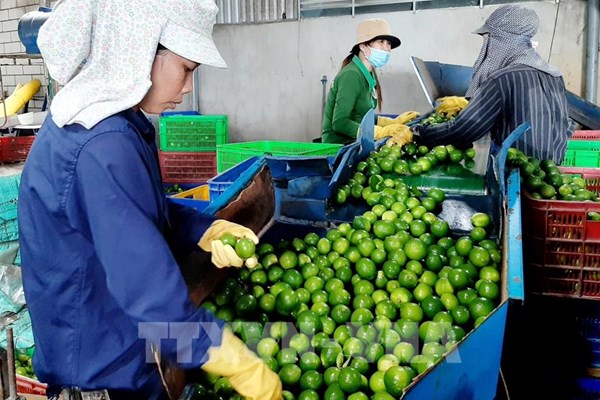 Long An kêu gọi đầu tư phát triển chế biến nông, lâm, thủy sản