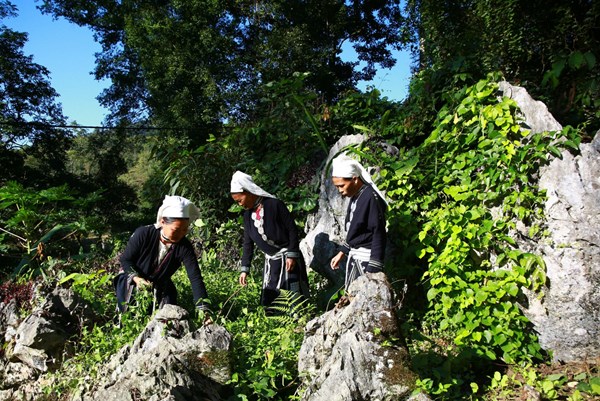 Rộn ràng Tết của bản người Dao Tiền - Hoài Khao