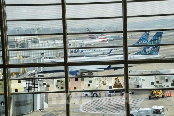 Ngành hàng không thế giới dự báo doanh thu hơn 1.000 tỷ USD