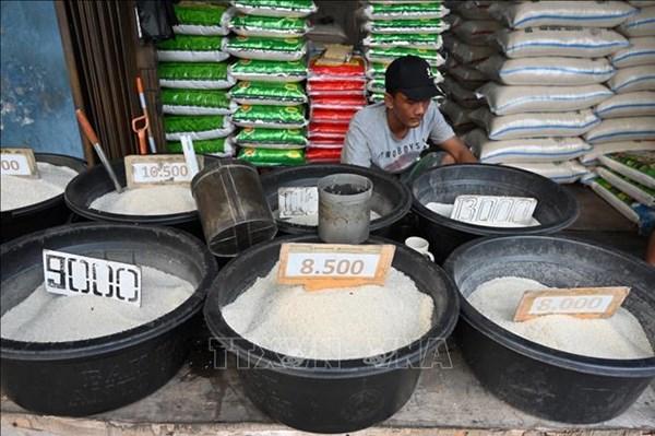 UAE cấm xuất khẩu và tái xuất khẩu gạo