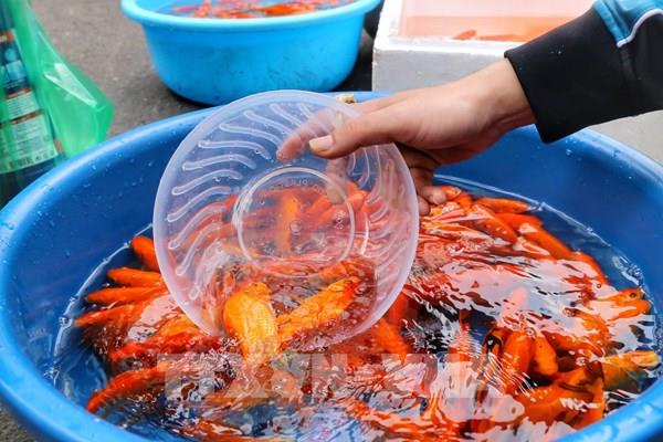 Người dân Thủ đô chuẩn bị đồ cúng ông Công, ông Táo