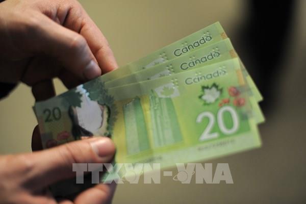 Thêm một cường quốc G7 đầu tư nhiều tỷ USD vào trí tuệ nhân tạo