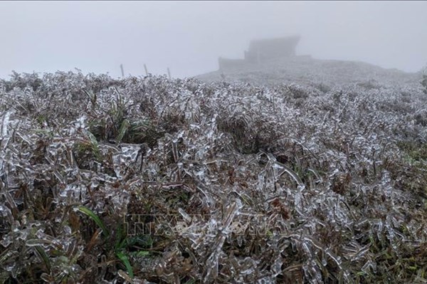 Băng giá xuất hiện tại đỉnh Mẫu Sơn, Lạng Sơn 