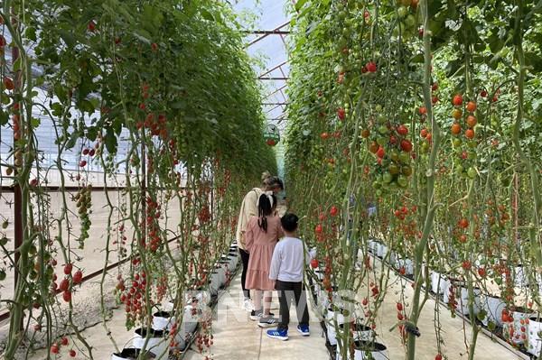 Công nghệ "chắp cánh" cho du lịch nông thôn