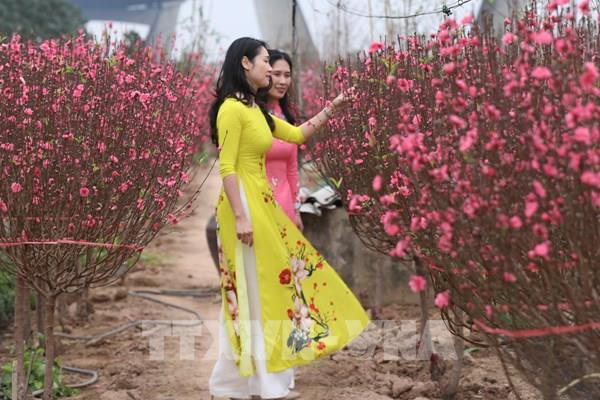 Có một Hà Nội rất riêng dịp Tết đến Xuân về